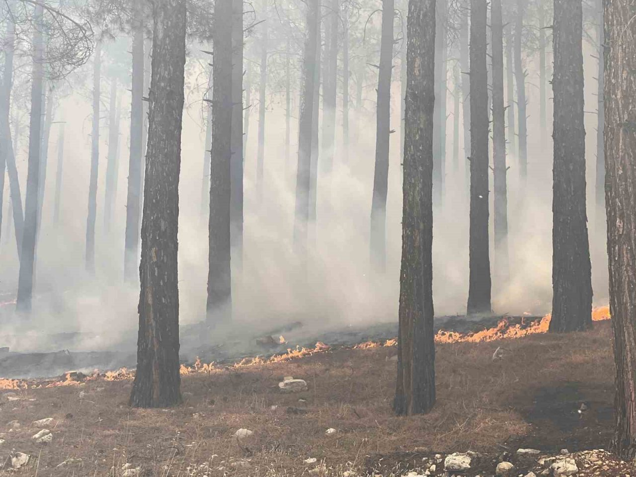 Kahramanmaraş’taki orman yangını söndürüldü