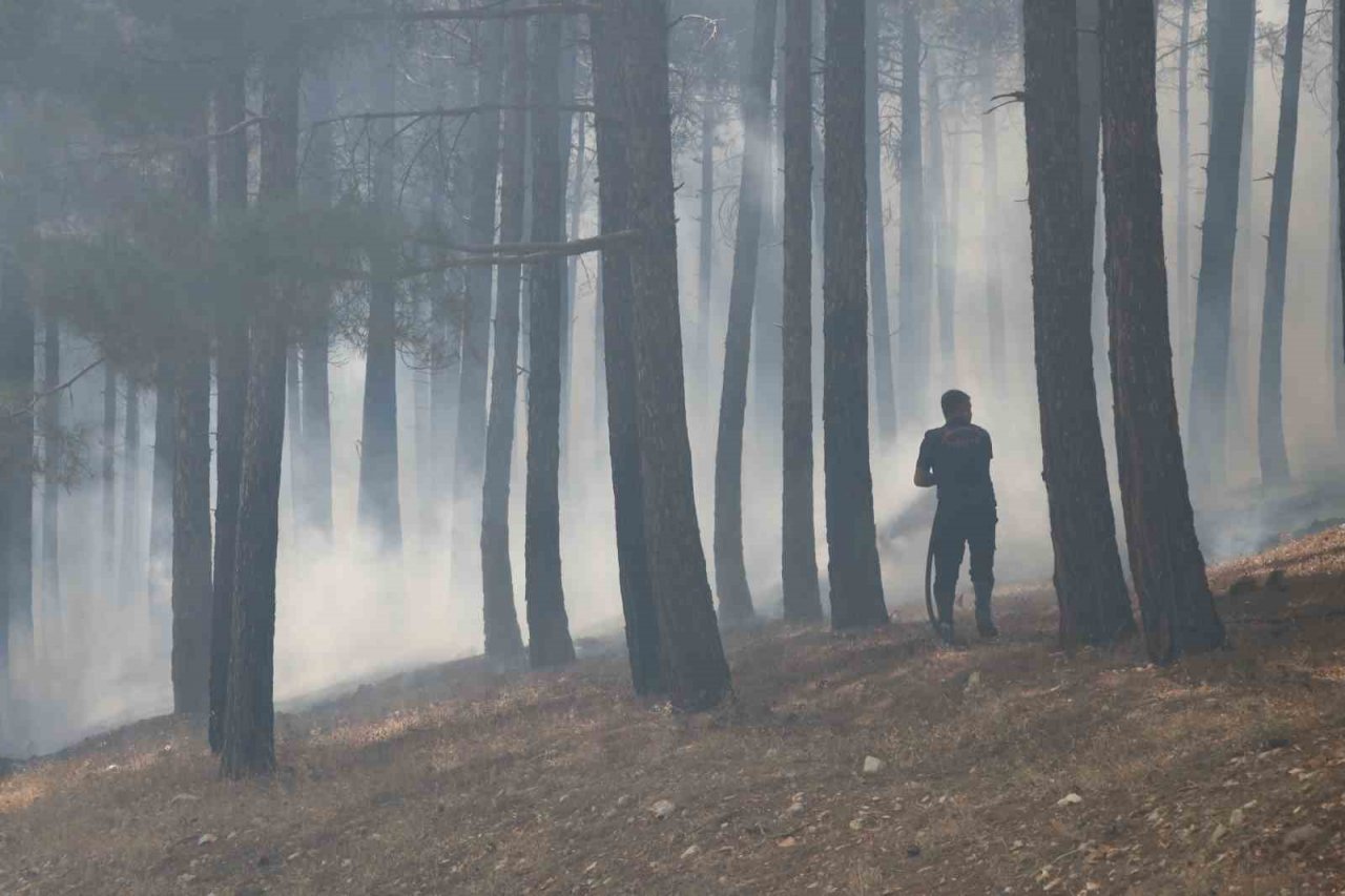 Kahramanmaraş’taki orman yangını söndürüldü