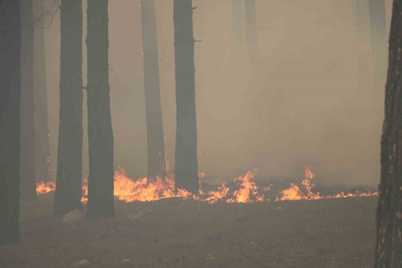 Kahramanmaraş’taki orman yangını söndürüldü