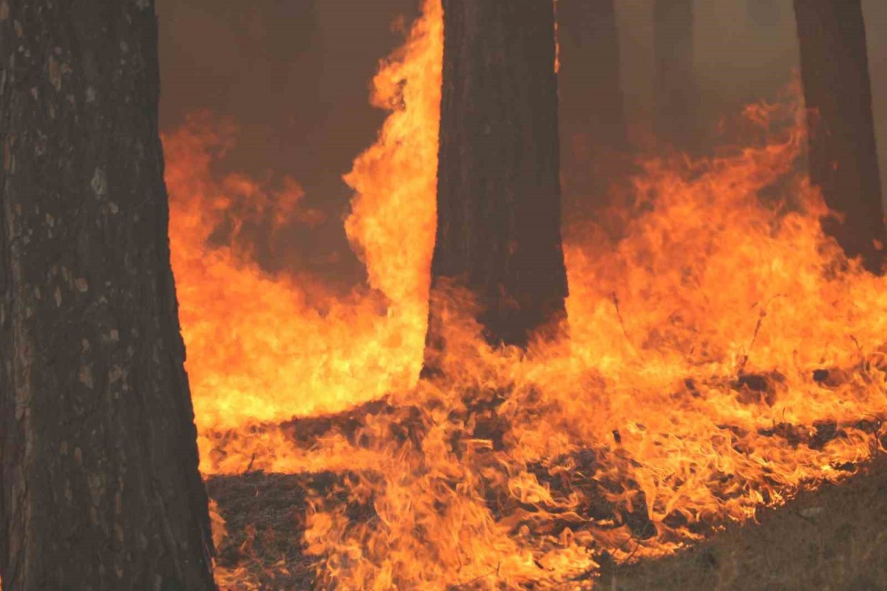 Kahramanmaraş’taki orman yangını söndürüldü