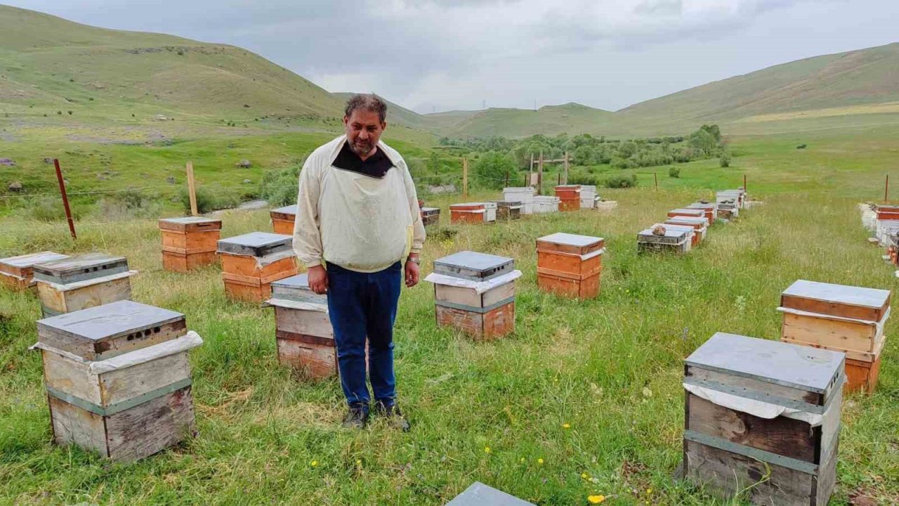 Gezgin arıcılar, kestaneden sonra çiçek balından da umutsuz