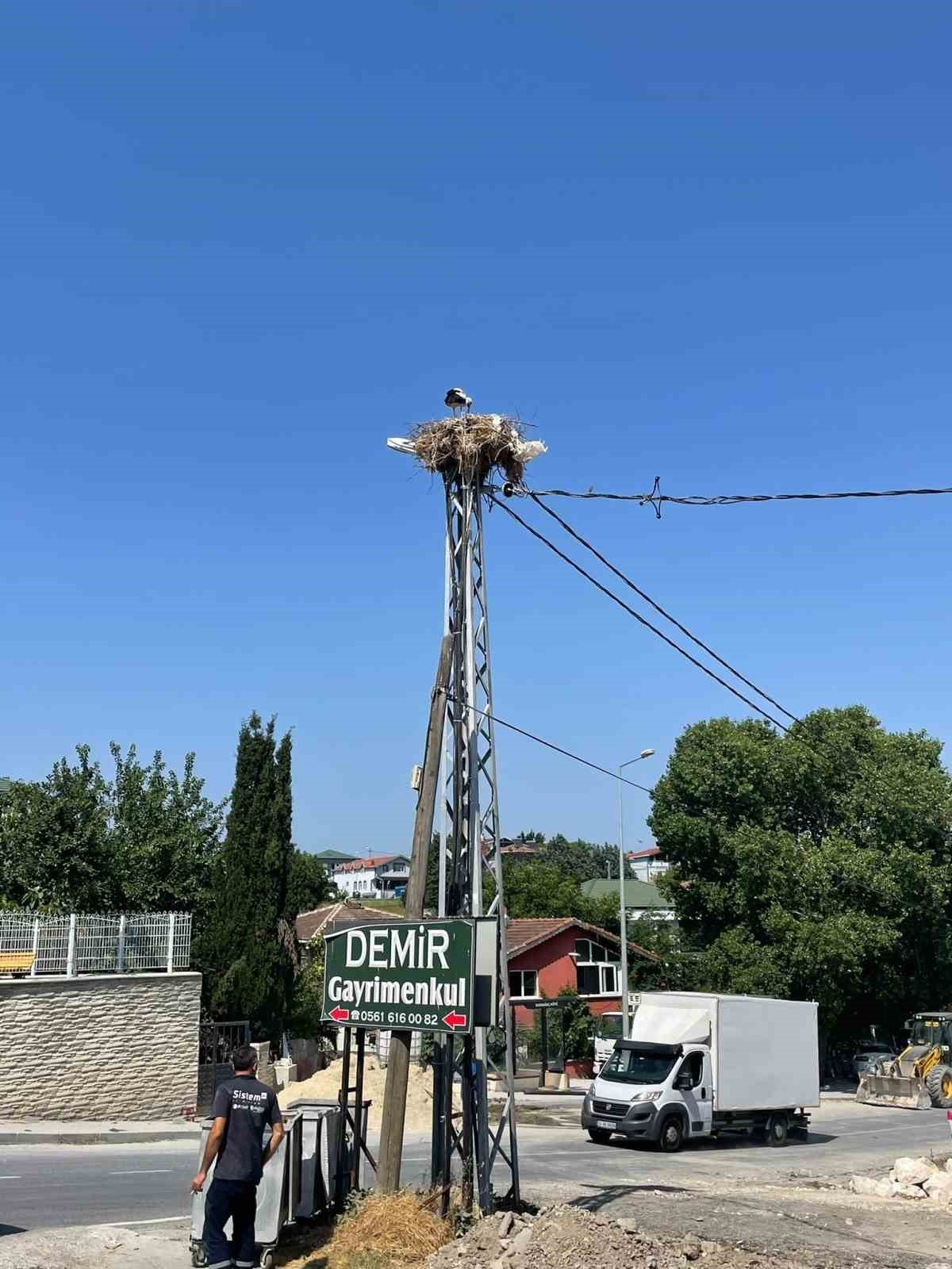 Leylek yavruları için yol inşaatı durduruldu