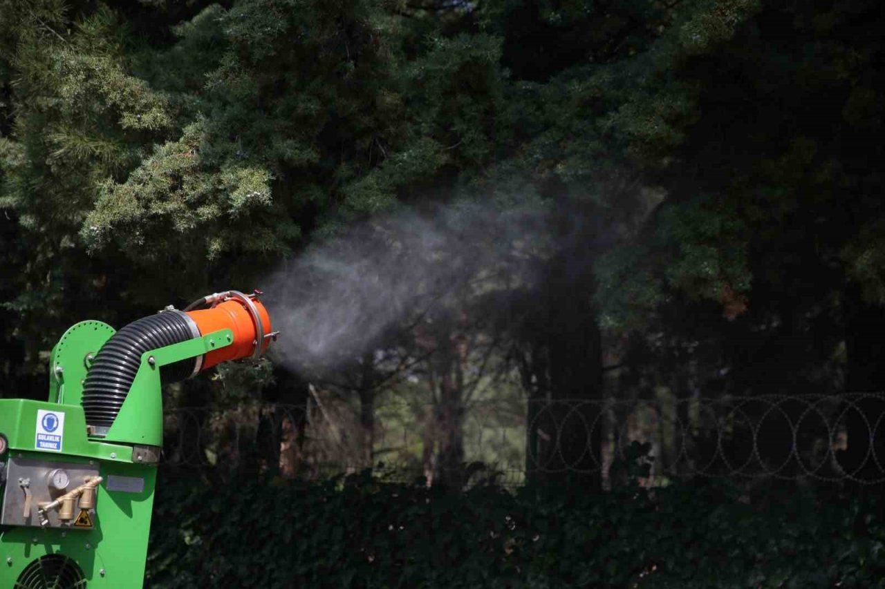 Merkezefendi Belediyesinden haşerelere karşı etkin mücadele