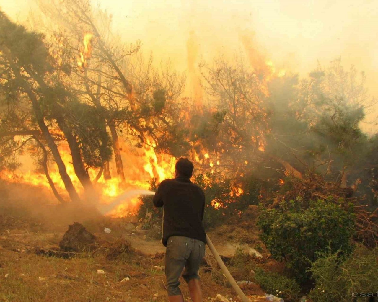Eskişehir’de ormanlık alanlara girişler yasaklandı