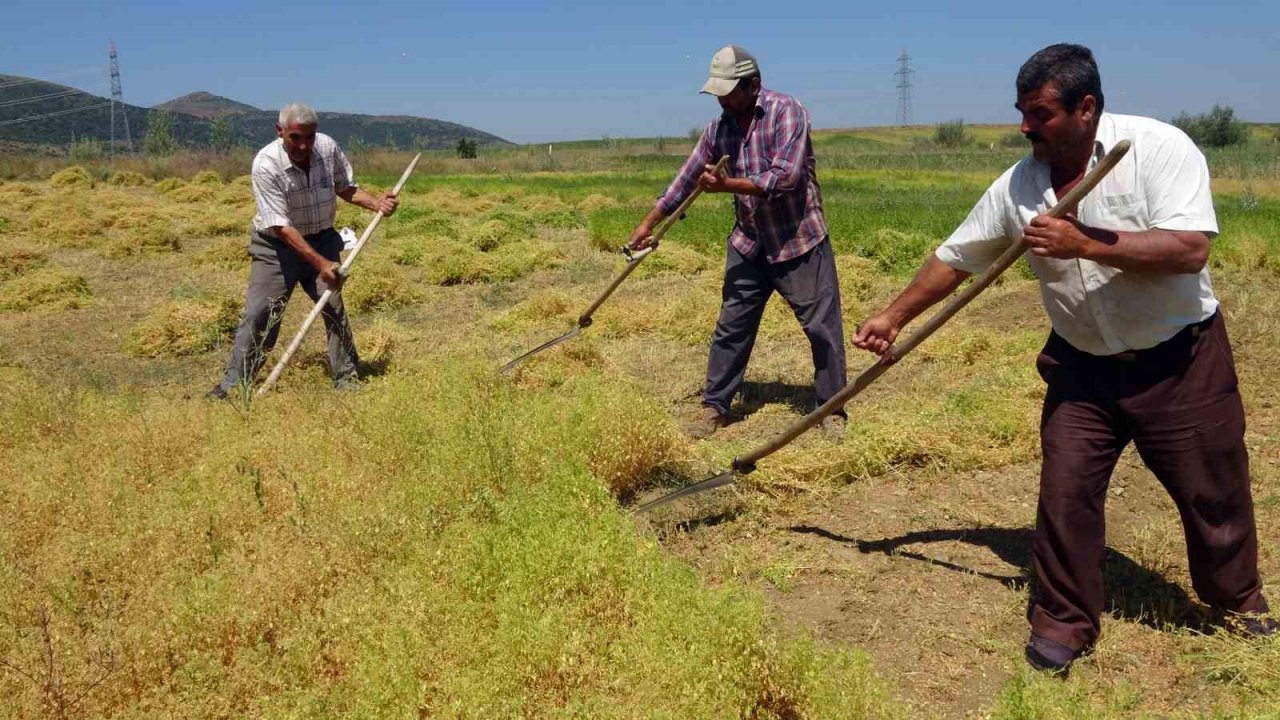Aylıkları 30 bin liraya geliyor ancak sayıları her geçen gün azalıyor