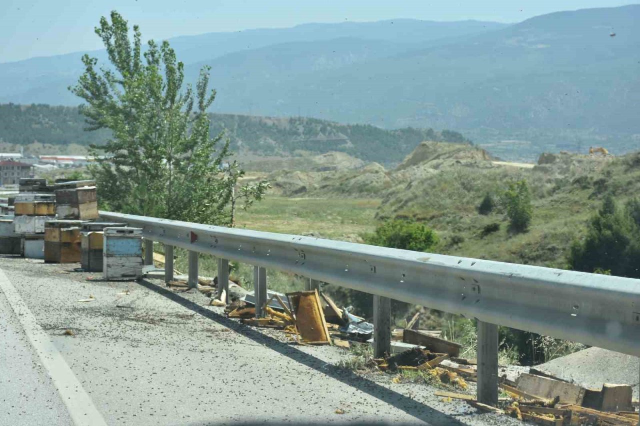 D100’de arı kovanı yüklü kamyon devrildi: 1 kişi yaralandı, arılar telef oldu