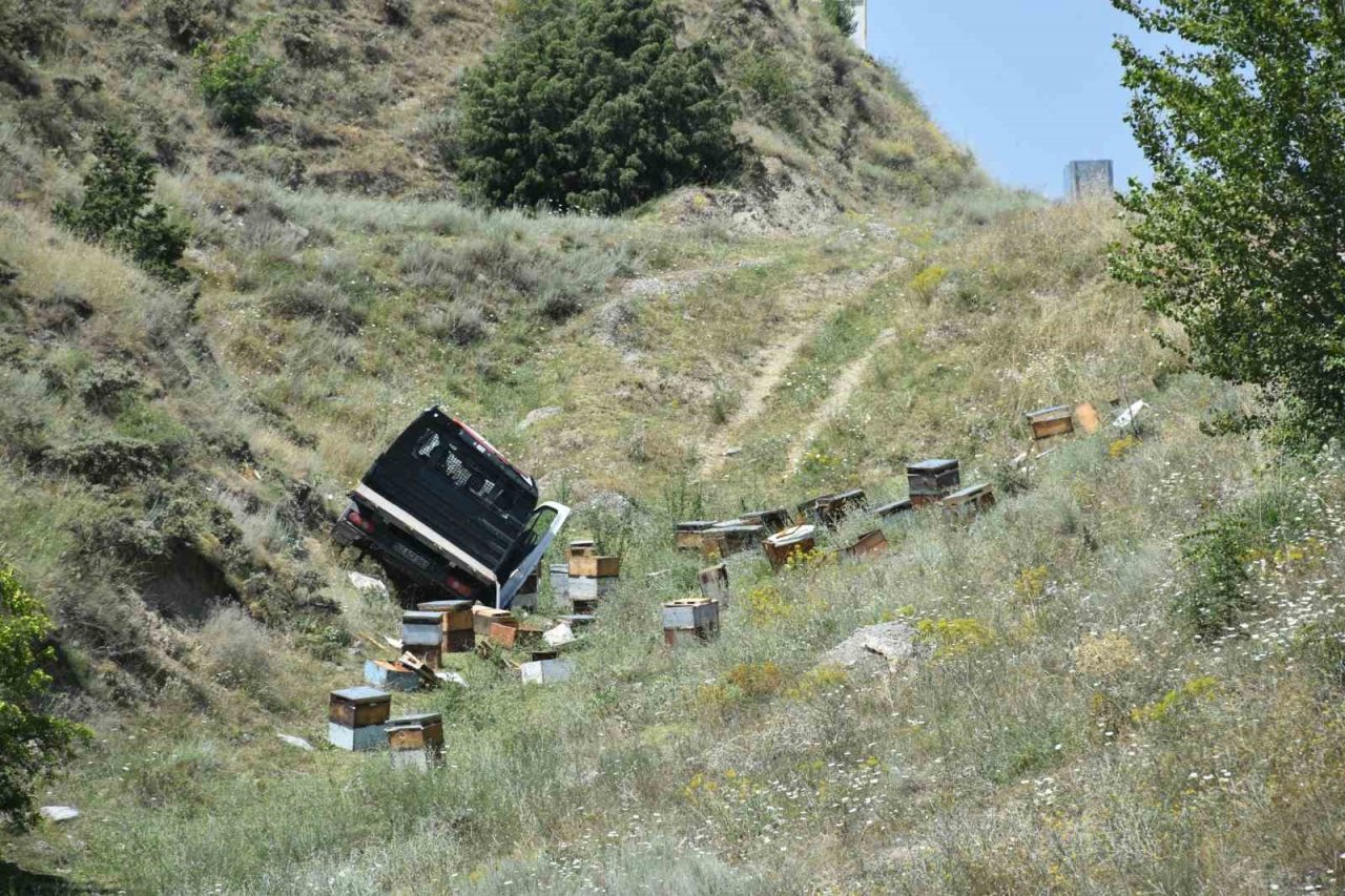 D100’de arı kovanı yüklü kamyon devrildi: 1 kişi yaralandı, arılar telef oldu