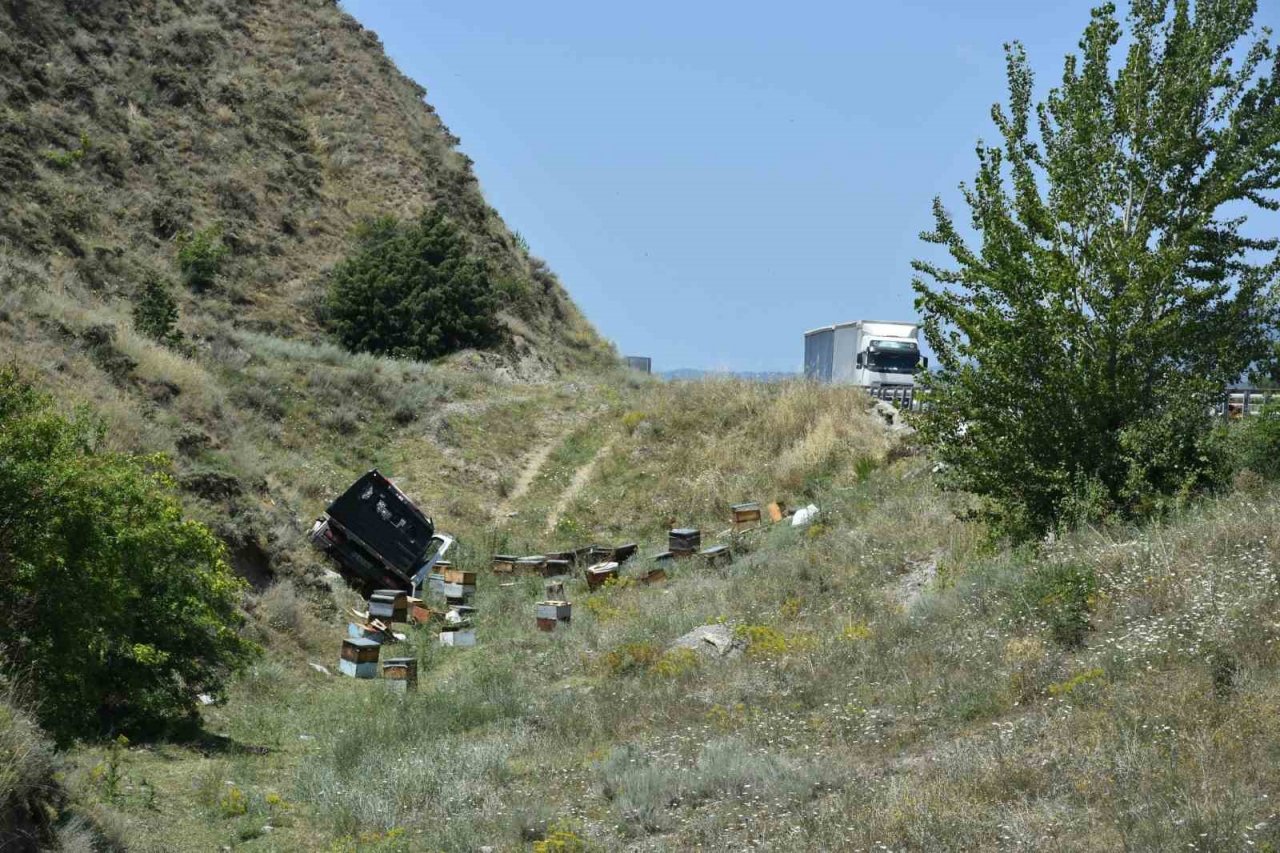 D100’de arı kovanı yüklü kamyon devrildi: 1 kişi yaralandı, arılar telef oldu