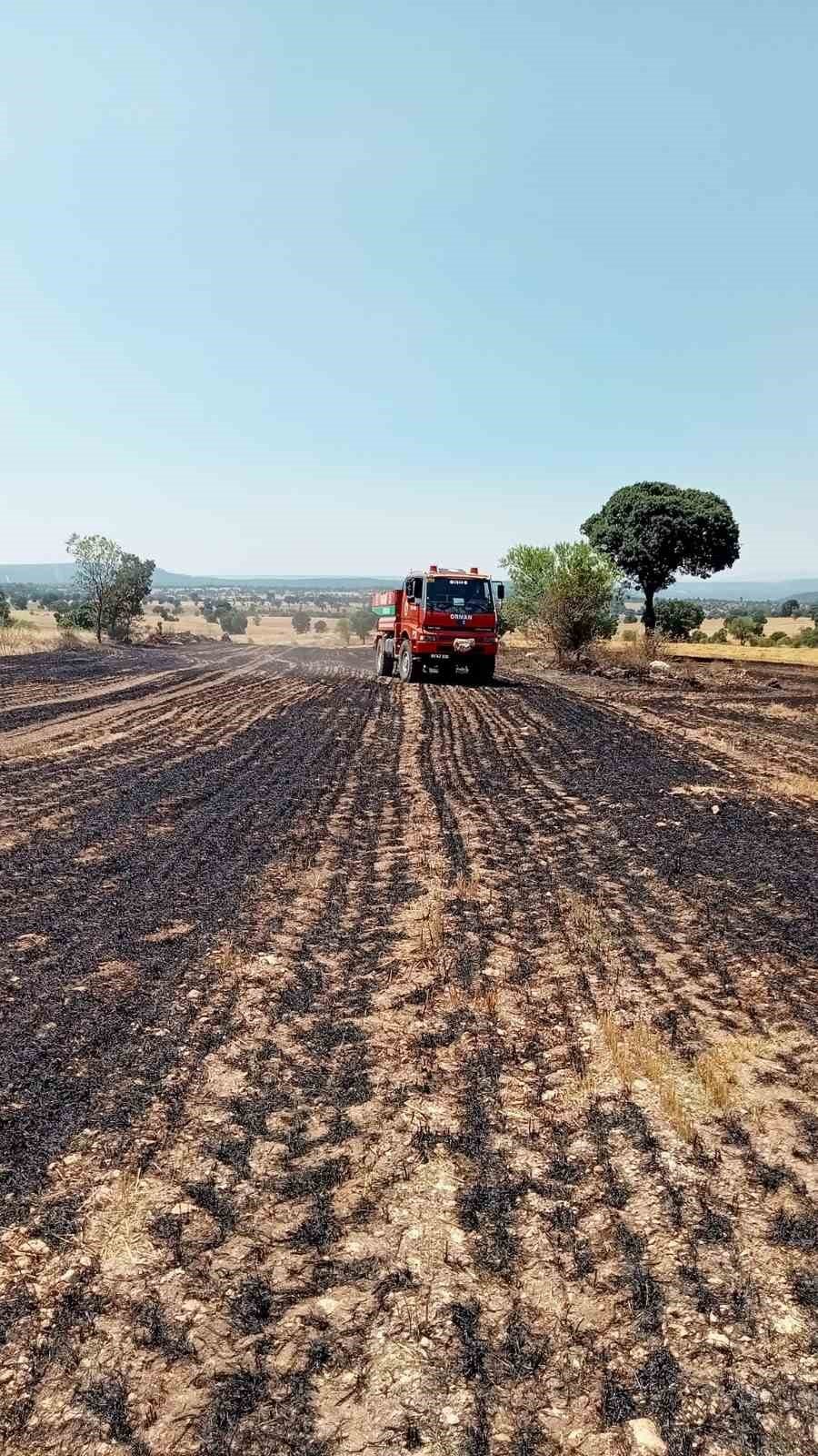 Anız yangınında 2 dekar alan zarar gördü