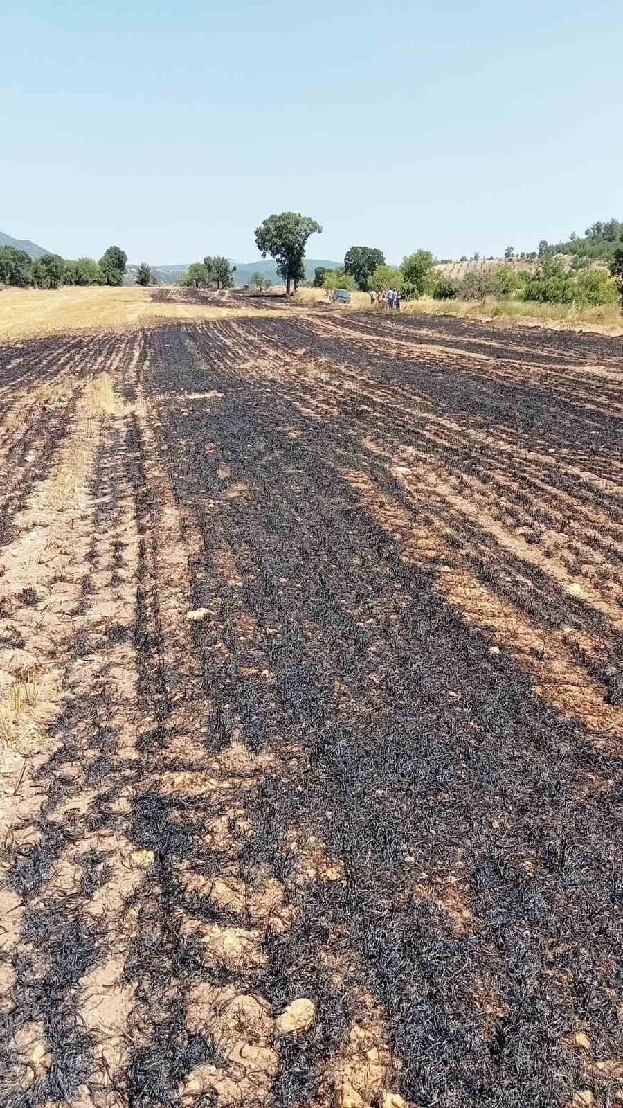 Anız yangınında 2 dekar alan zarar gördü