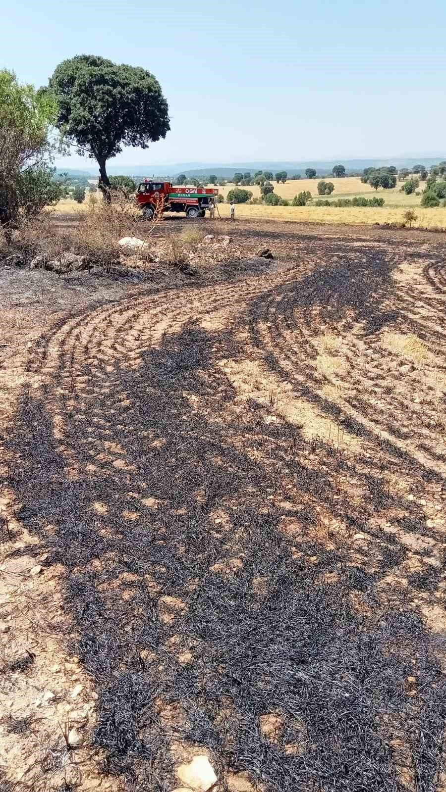 Anız yangınında 2 dekar alan zarar gördü