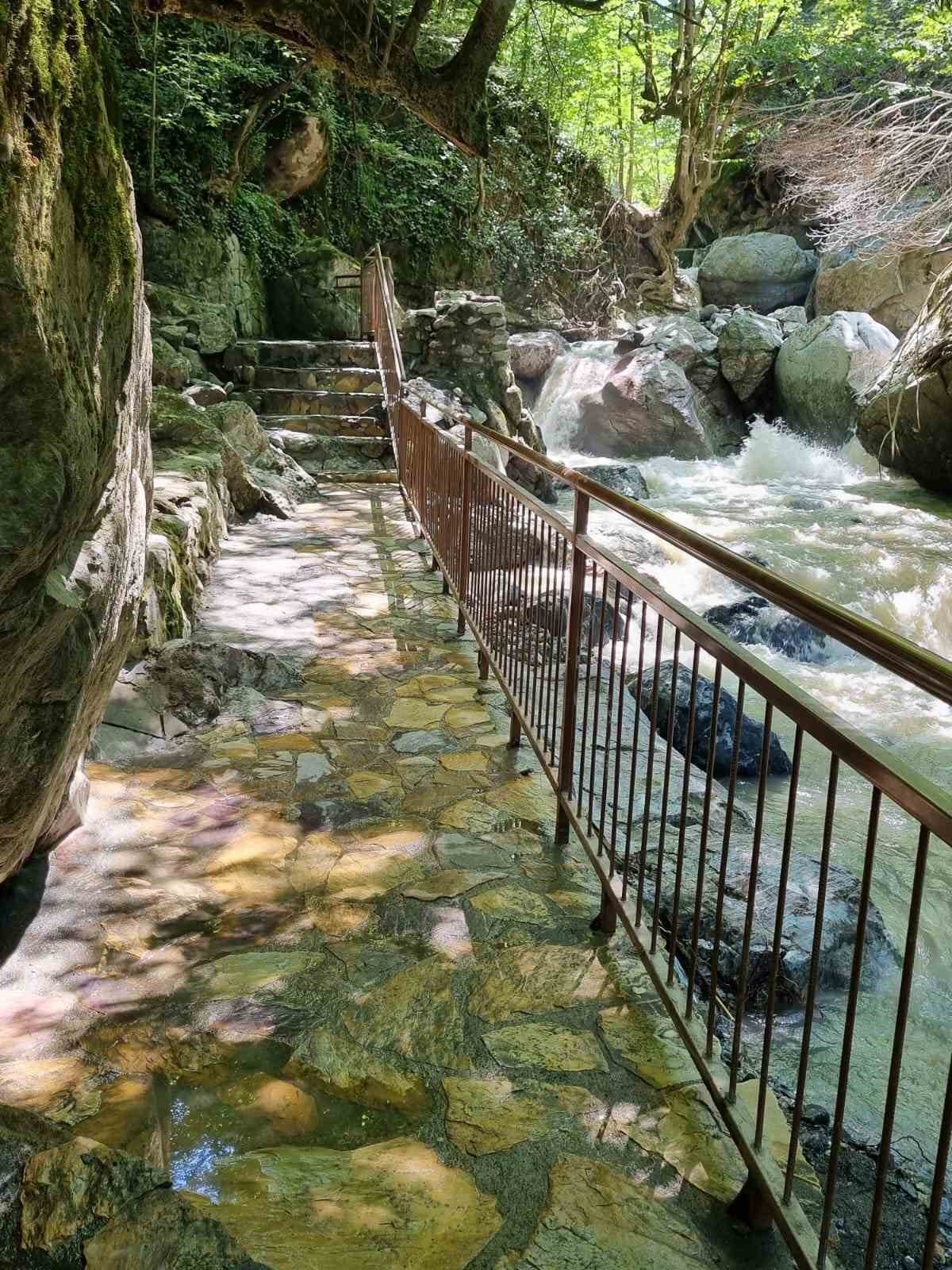 Sel sonrası tabiat anıtı alanları temizlendi