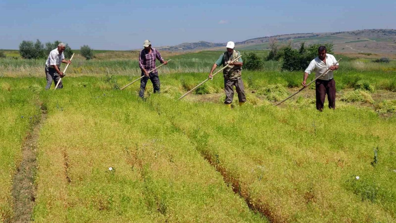 Aylıkları 30 bin liraya geliyor ancak sayıları her geçen gün azalıyor