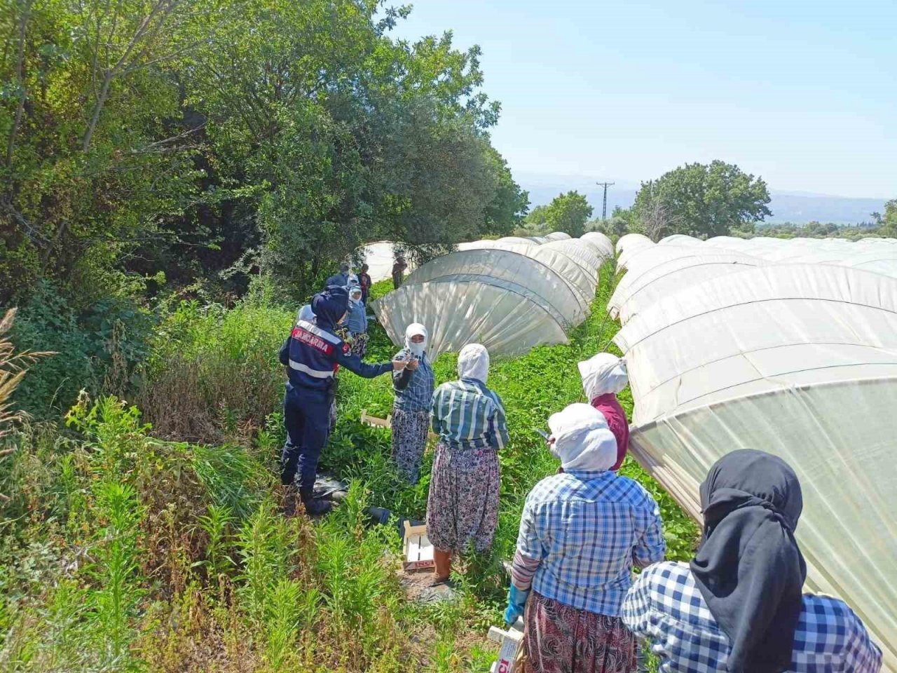 Aydın jandarması kadınları bilgilendirdi