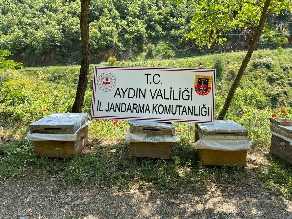 Aydın’da 6 ayda 126 şahıs hırsızlıktan tutuklandı