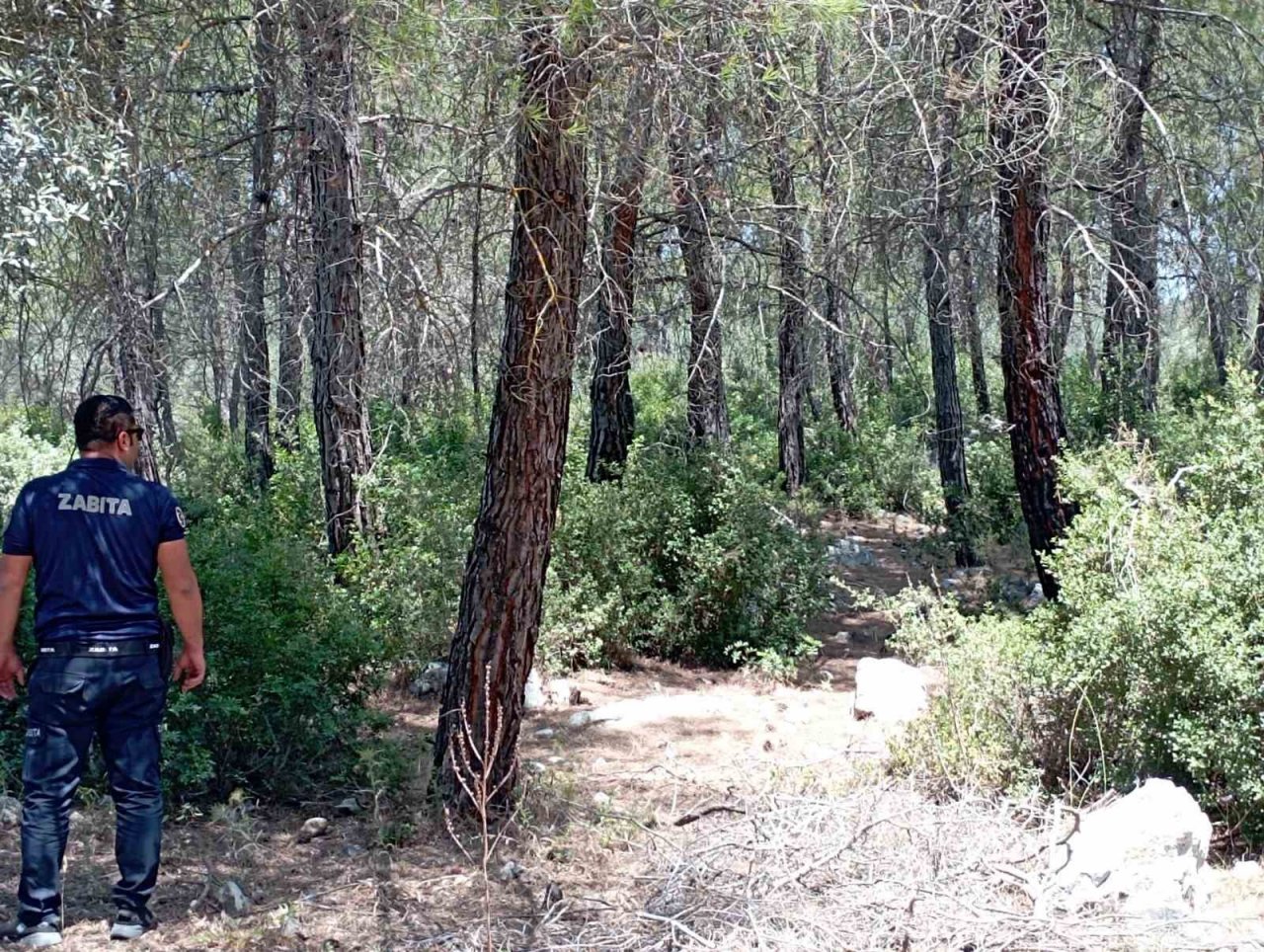 Belediye ekipleri yangın teyakkuzunda
