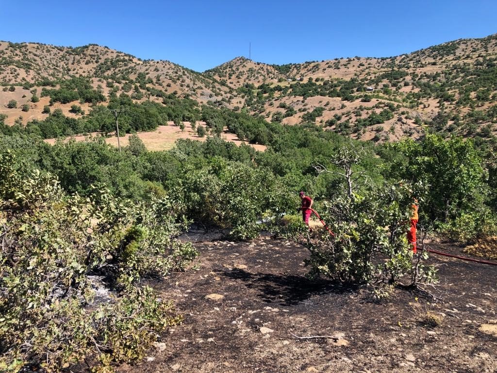 Bingöl’de ormanlık alanda korkutan yangın