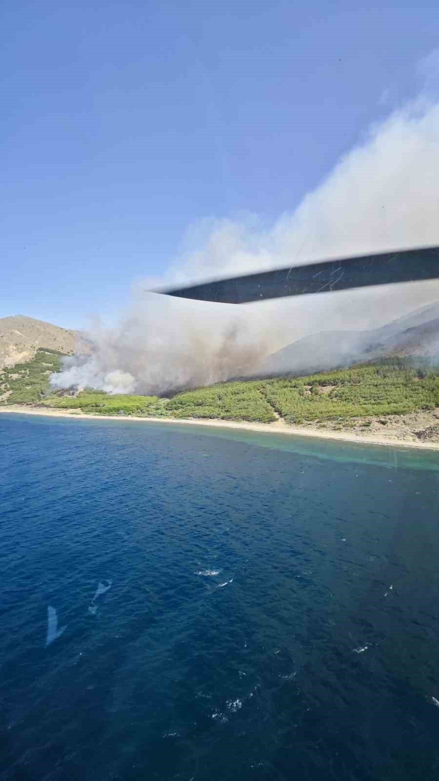 Gökçeada’da orman yangını