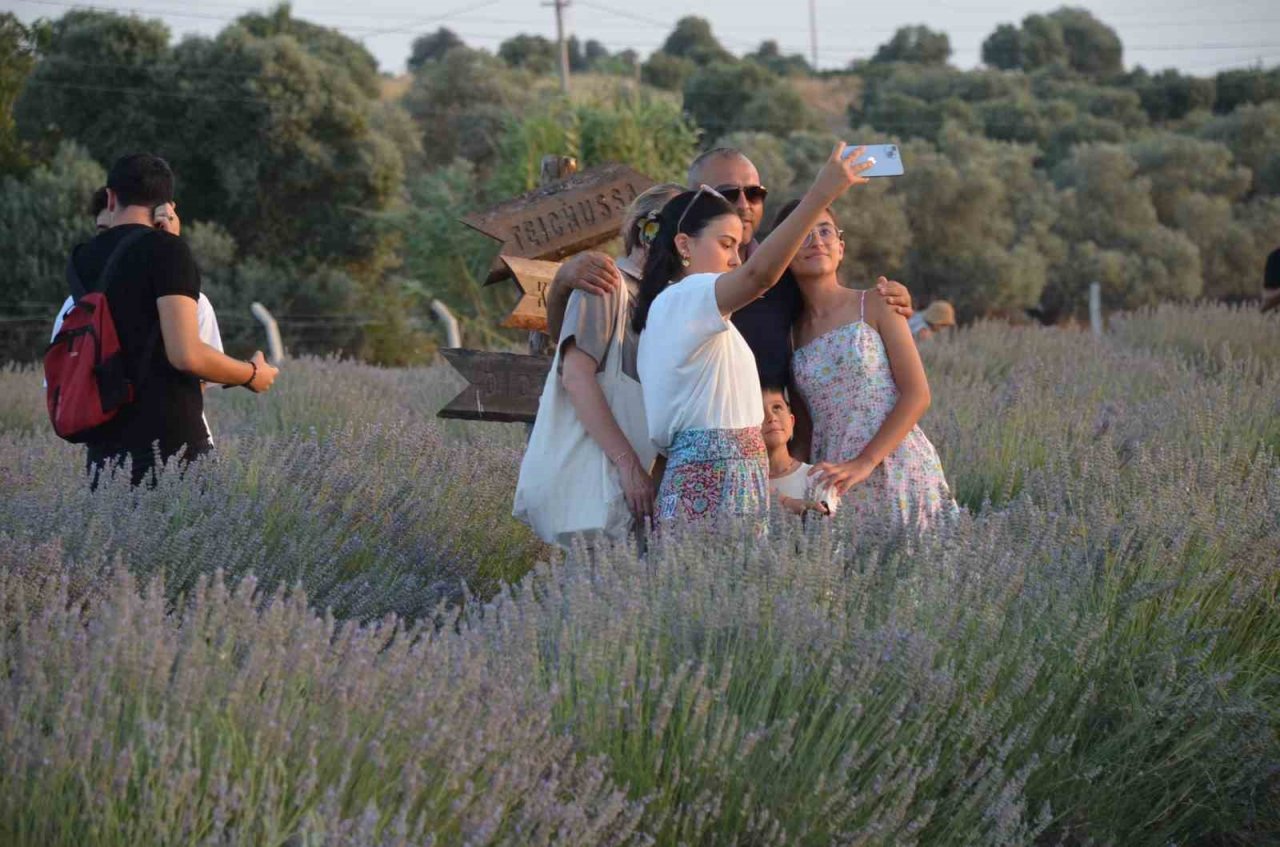 Didim’de 3. Lavanta festivali yoğunluğu