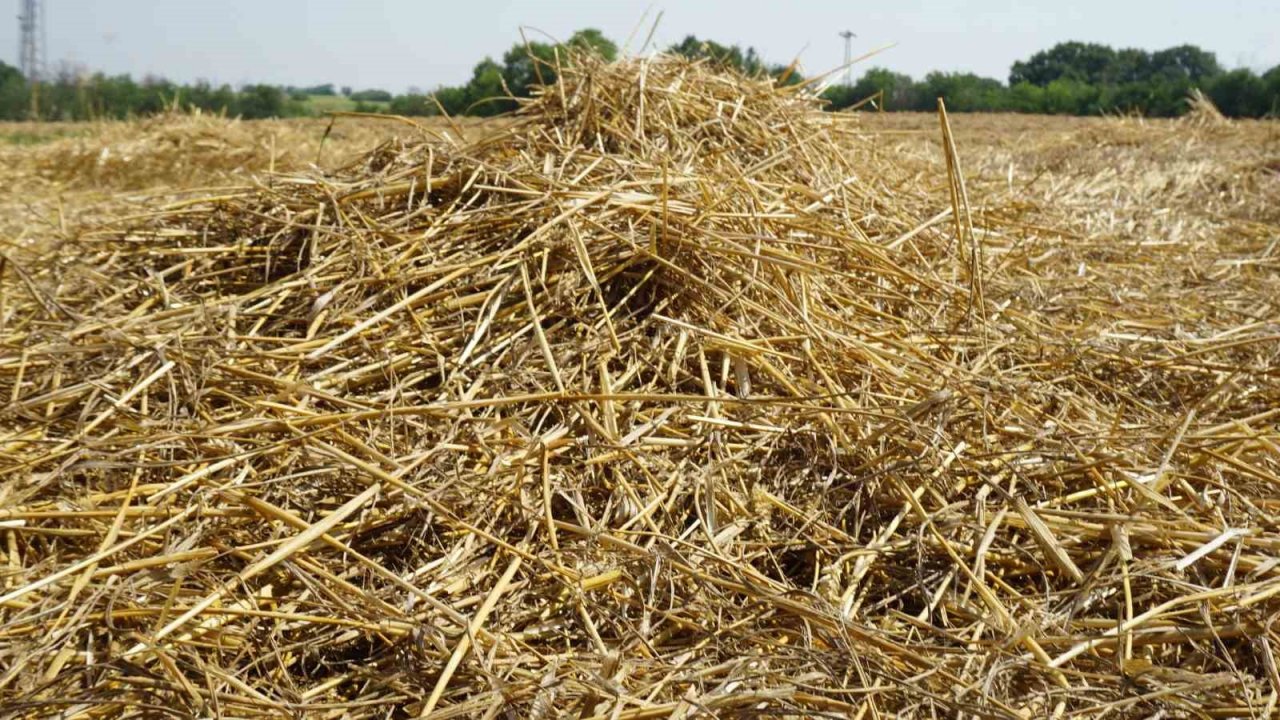 Aşırı sıcaklar hububat tarlalarında yangın riskini artırıyor