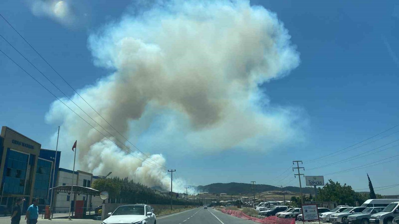 Kahramanmaraş’ta orman yangını
