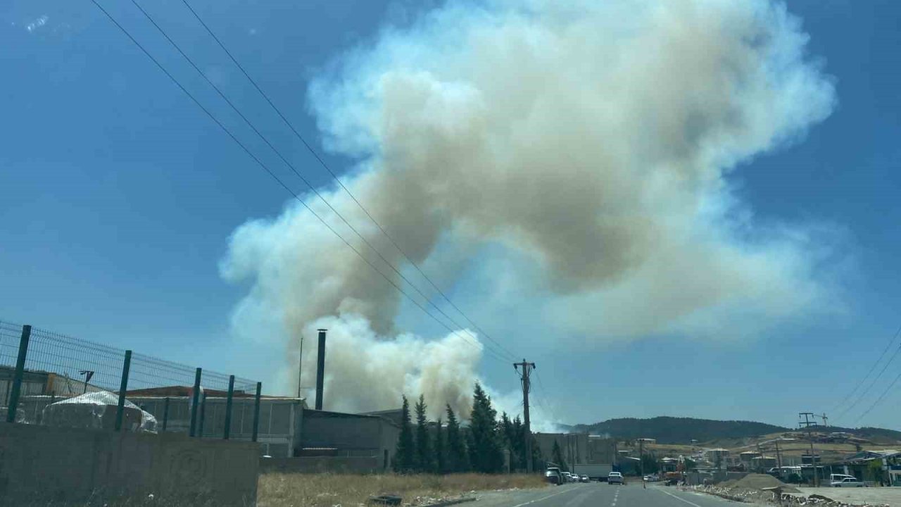Kahramanmaraş’ta orman yangını