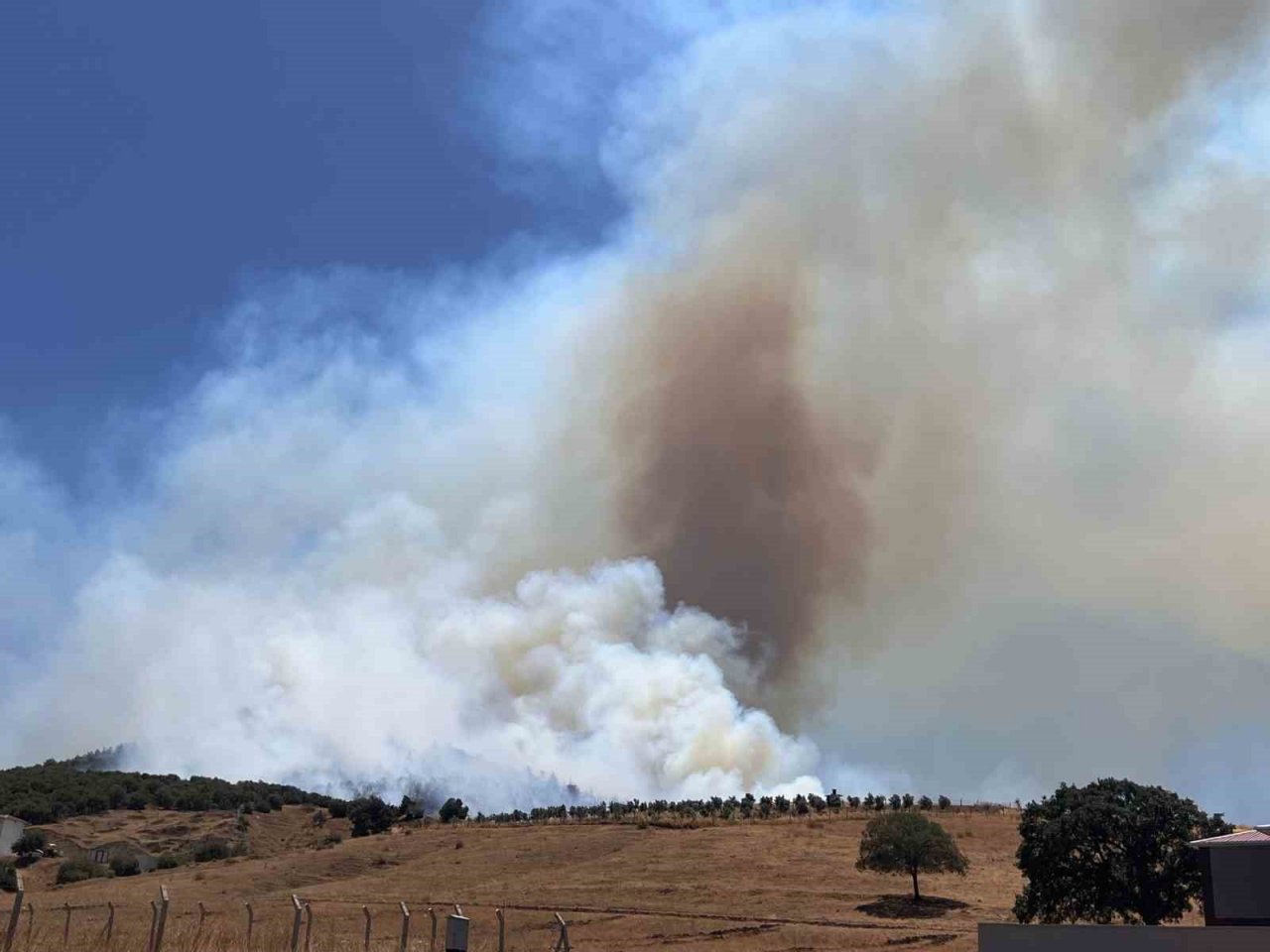 Kahramanmaraş’ta orman yangını