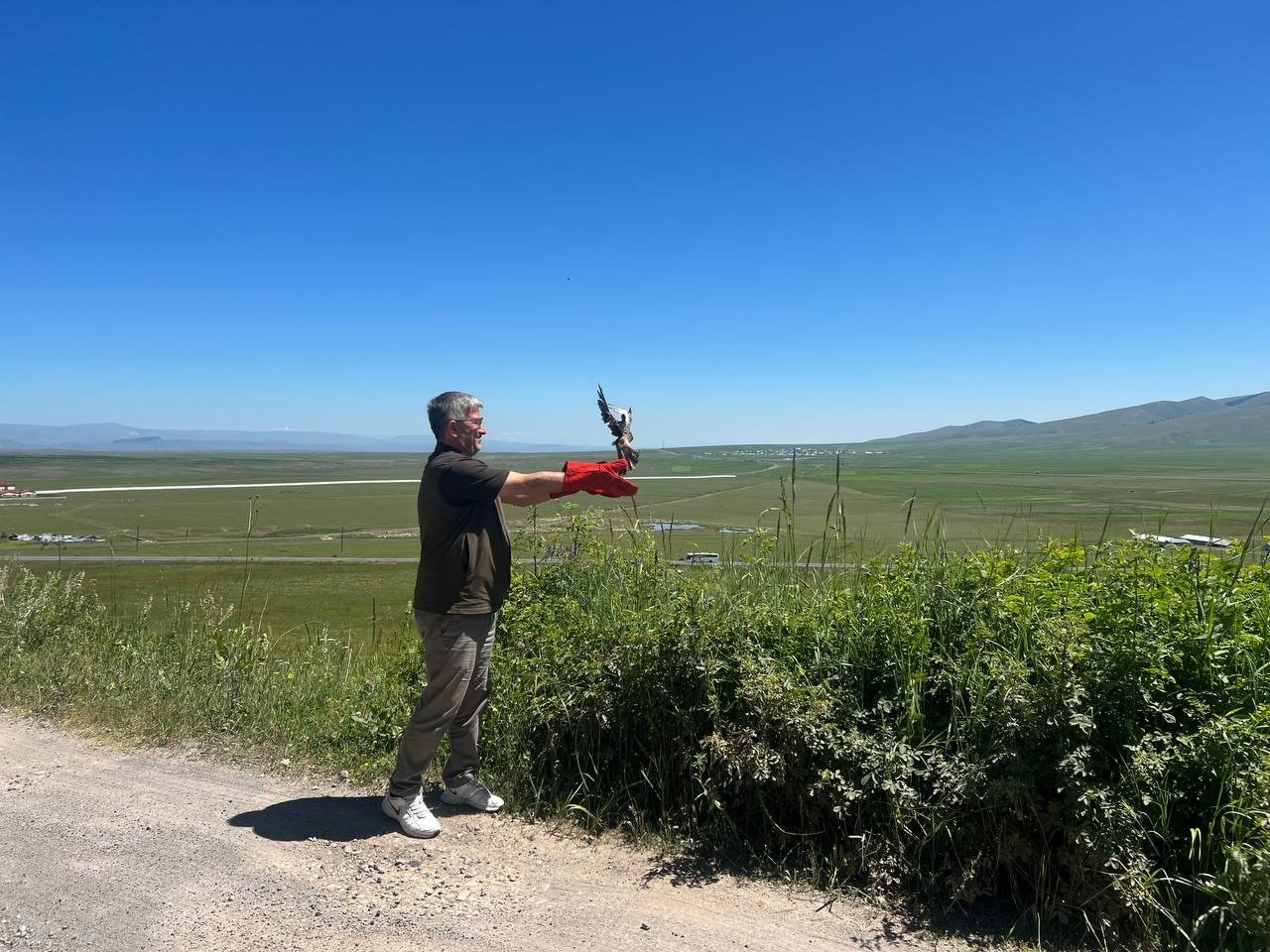 Kars’ta tedavileri tamamlanan kerkenezler doğaya bırakıldı