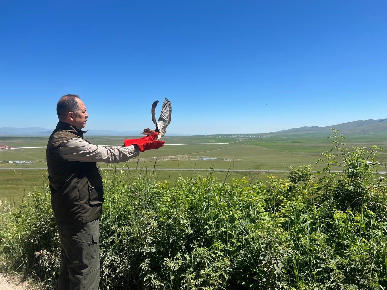 Kars’ta tedavileri tamamlanan kerkenezler doğaya bırakıldı