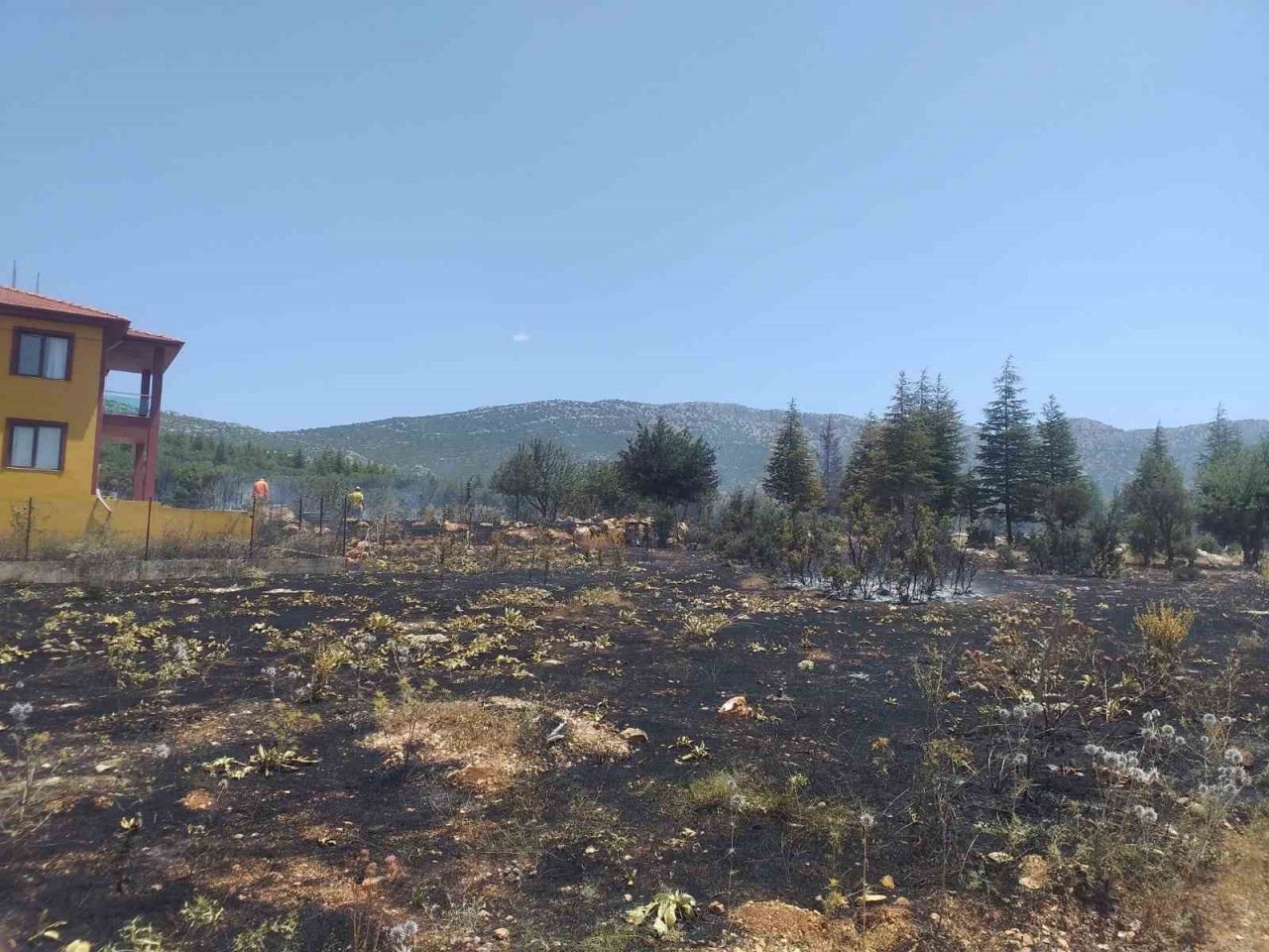 Antalya’da çalılık alanda yangın