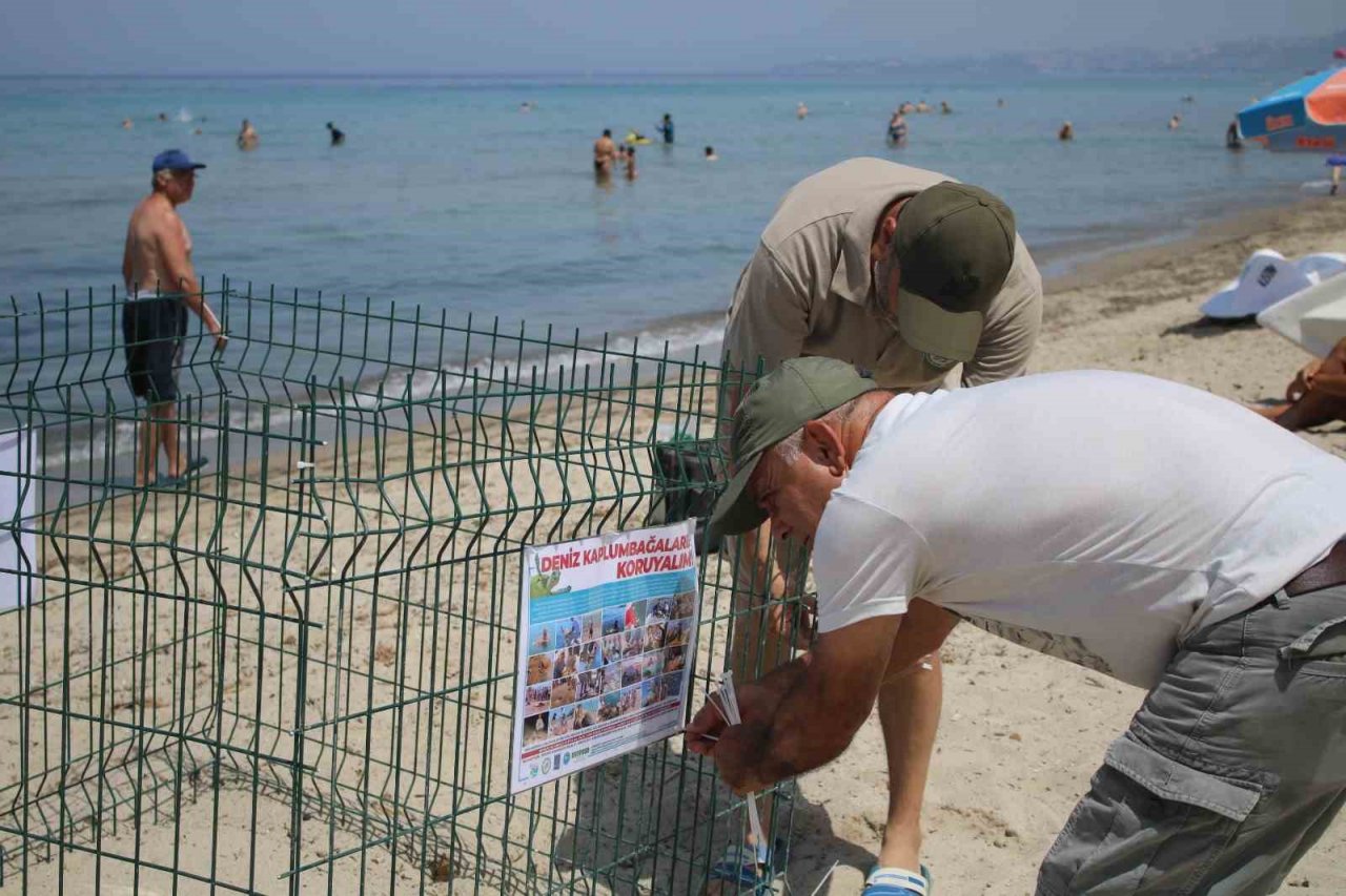 Kuşadası’nın tertemiz plajları caretta caretta yuvalarına ev sahipliği yapıyor