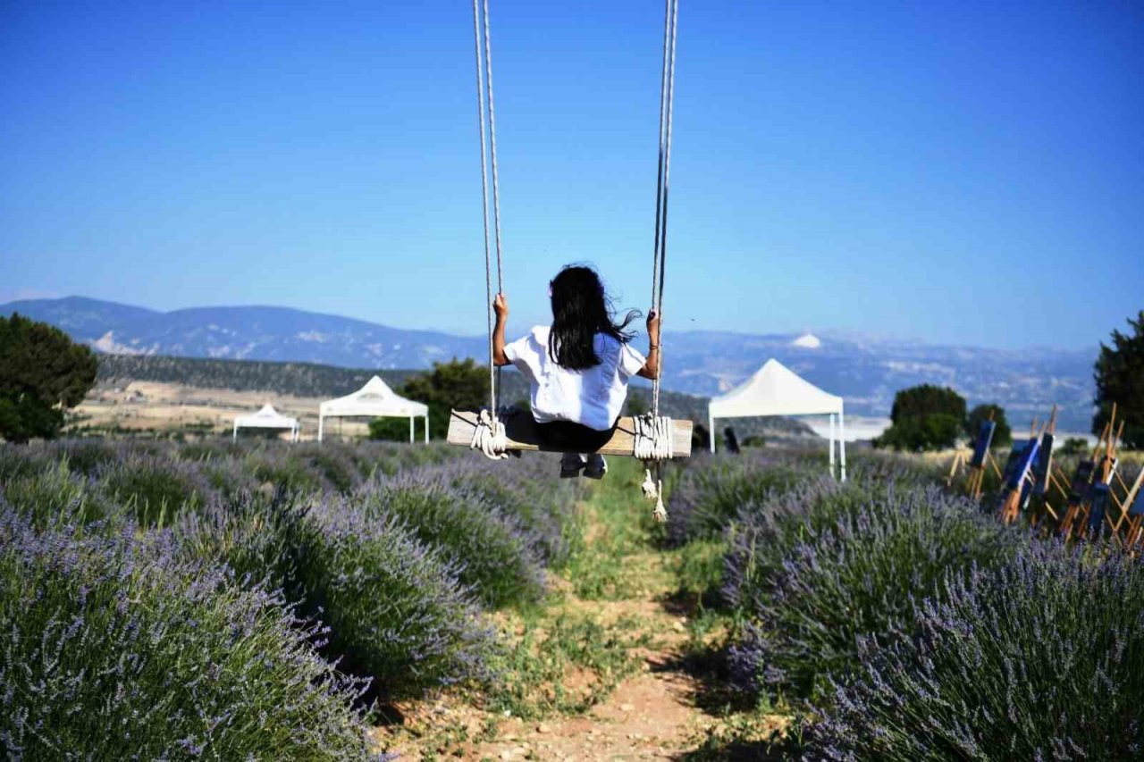Isparta’da lavanta festivali başladı