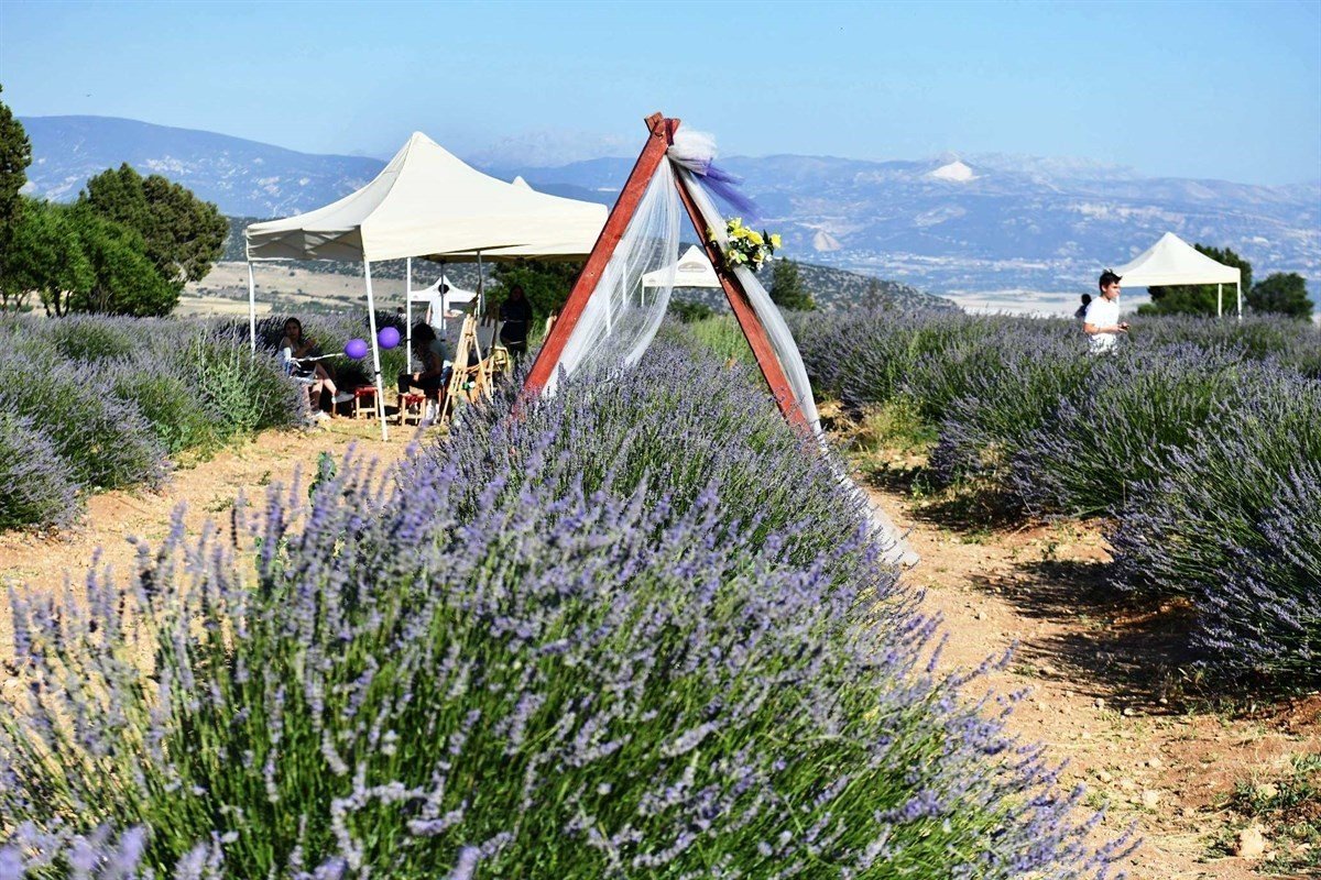 Isparta’da lavanta festivali başladı