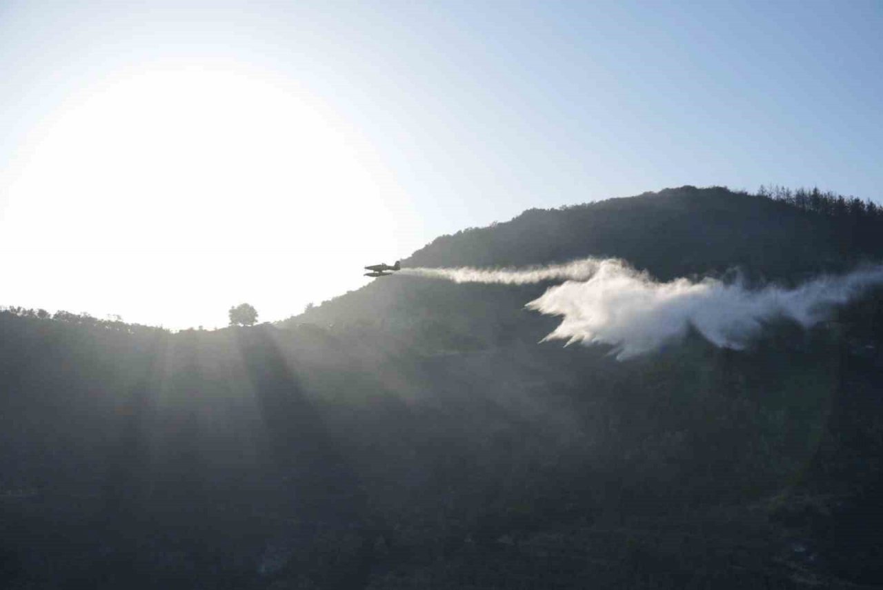 Osmaniye’de orman yangını kontrol altına alındı