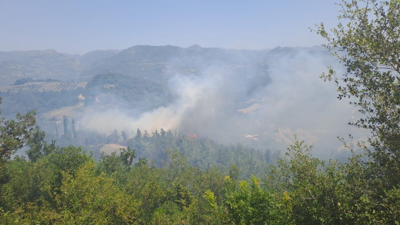 Osmaniye’de orman yangını, ekipler müdahaleye başladı