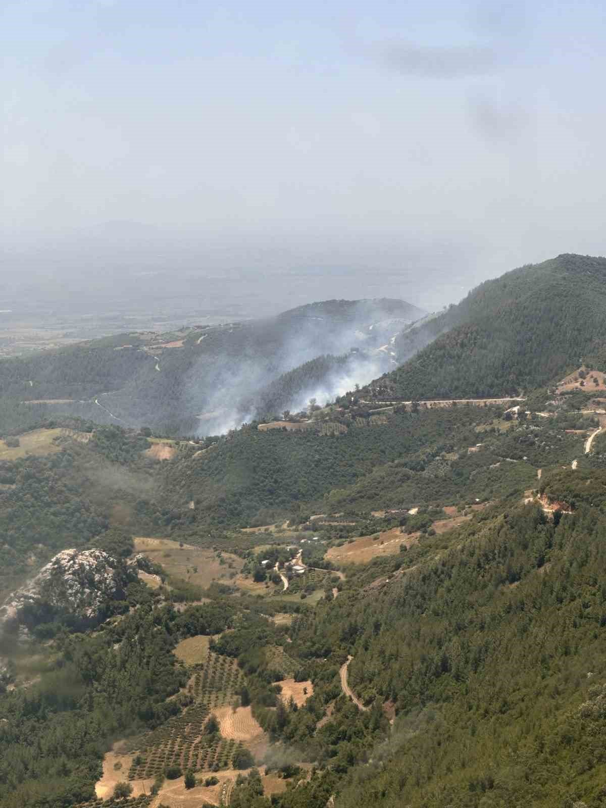 Osmaniye’de orman yangını, ekipler müdahaleye başladı