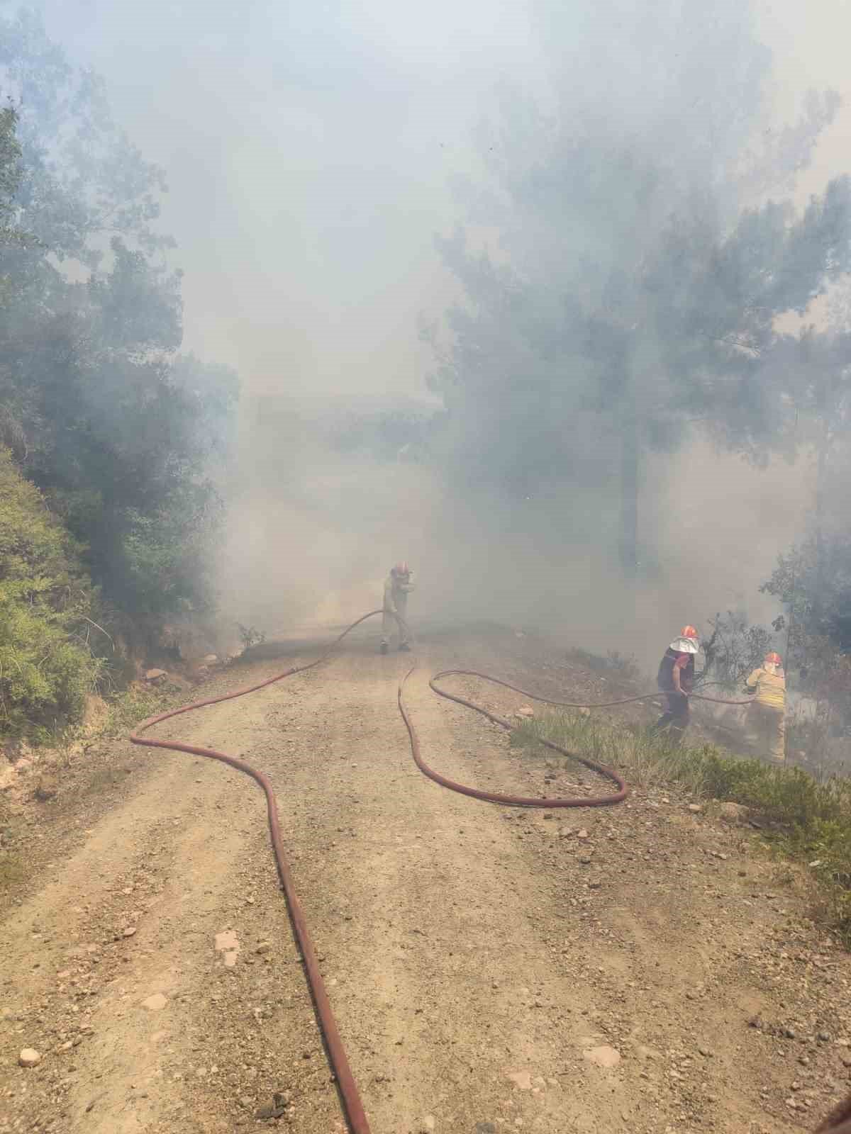 Osmaniye’de orman yangını, ekipler müdahaleye başladı
