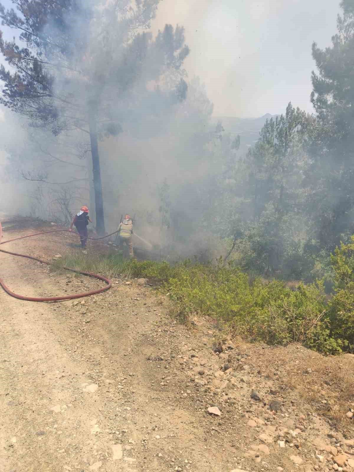 Osmaniye’de orman yangını, ekipler müdahaleye başladı