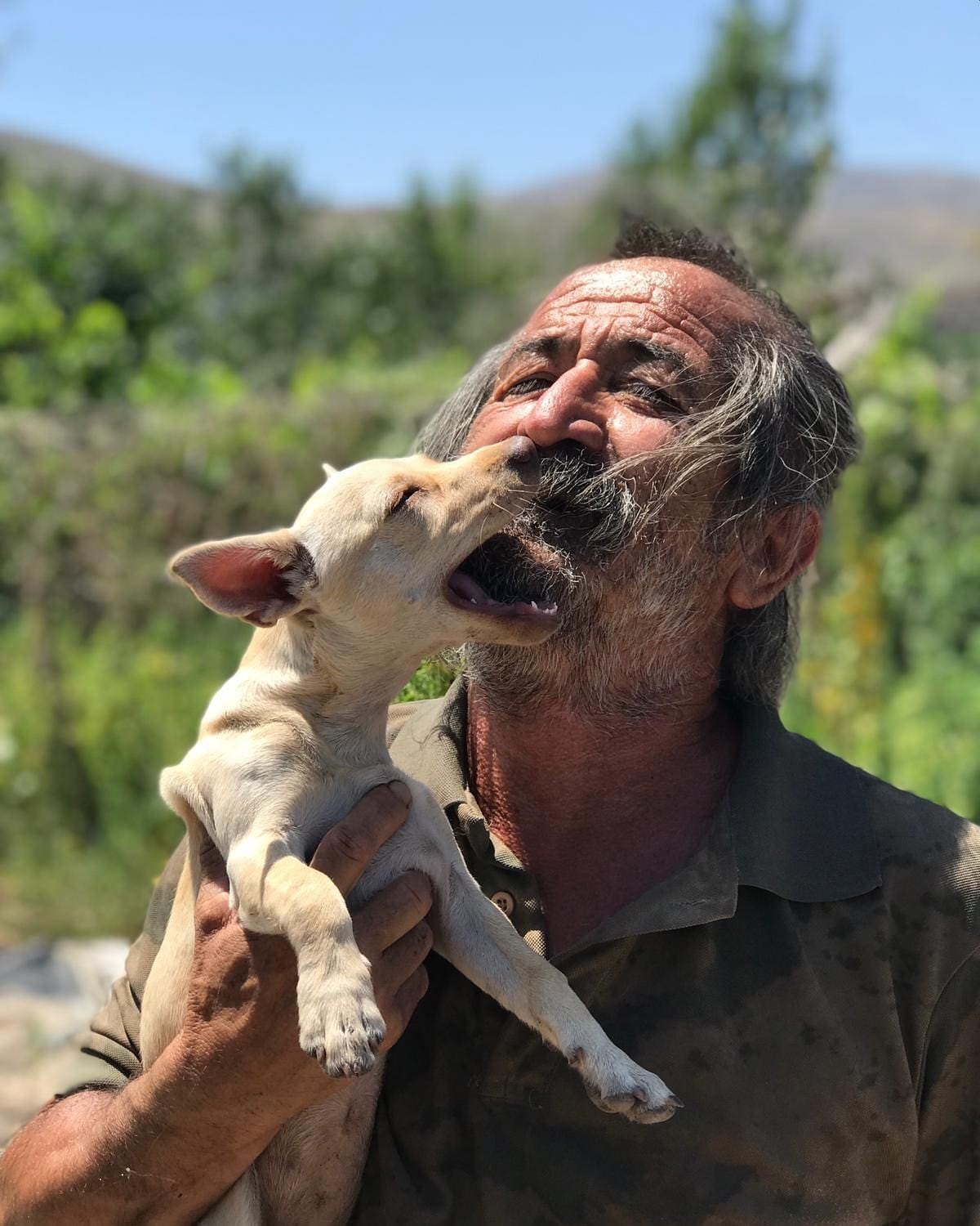 Köpeğinin yerini söyleyene 100 bin TL ödül verecek