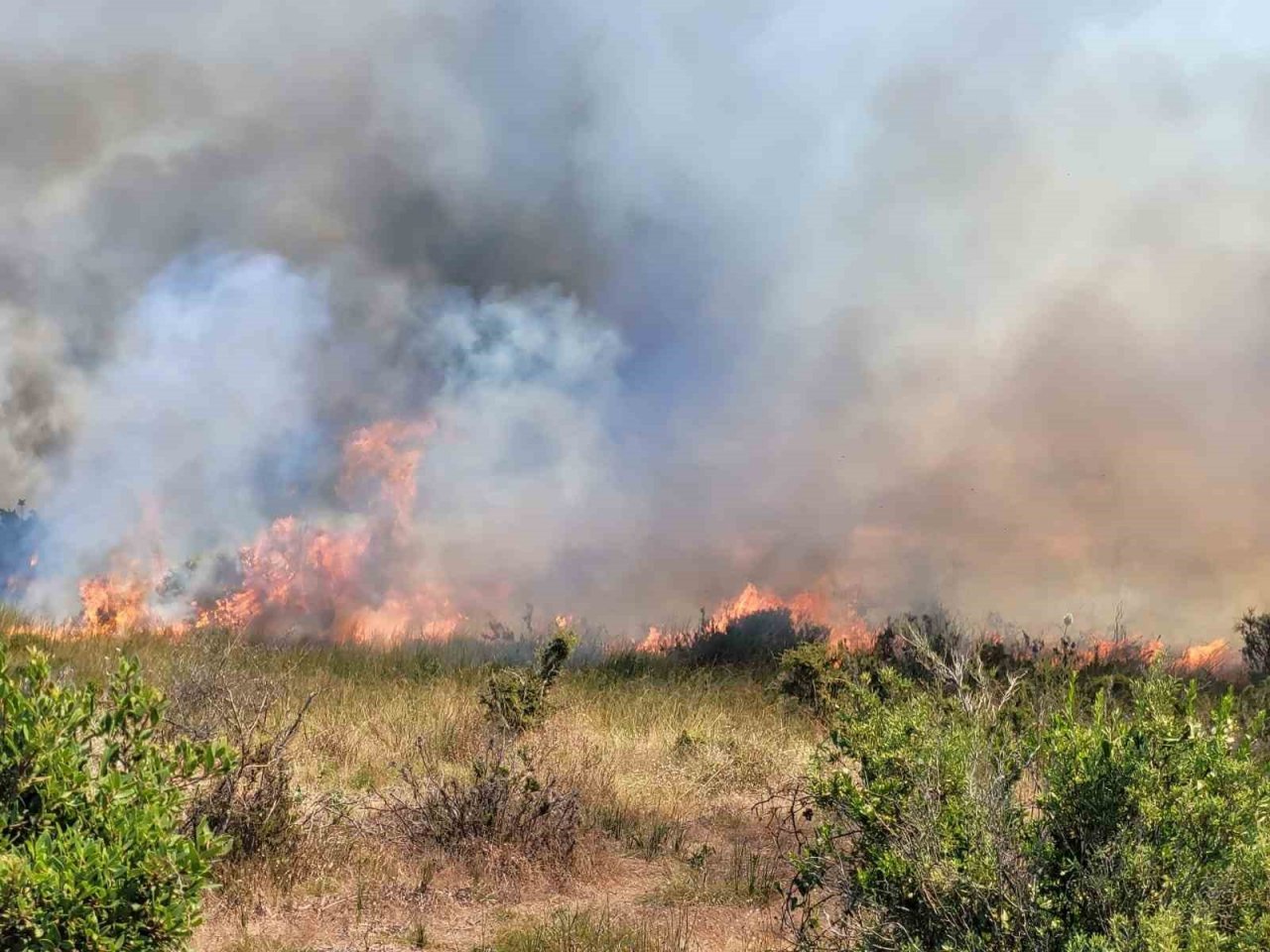 Manavgat’taki orman yangınında ihmal iddiası