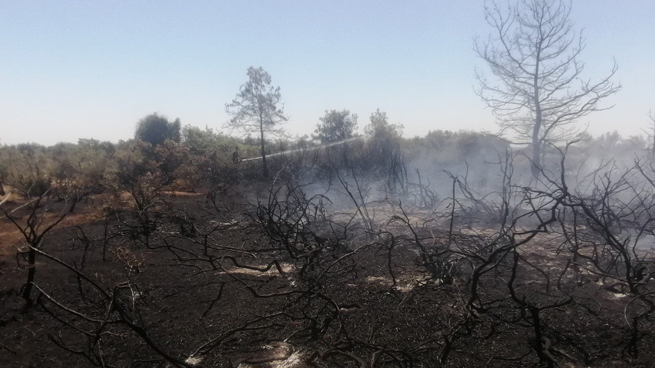 Antalya’da çıkan orman yangını kontrol altına alındı