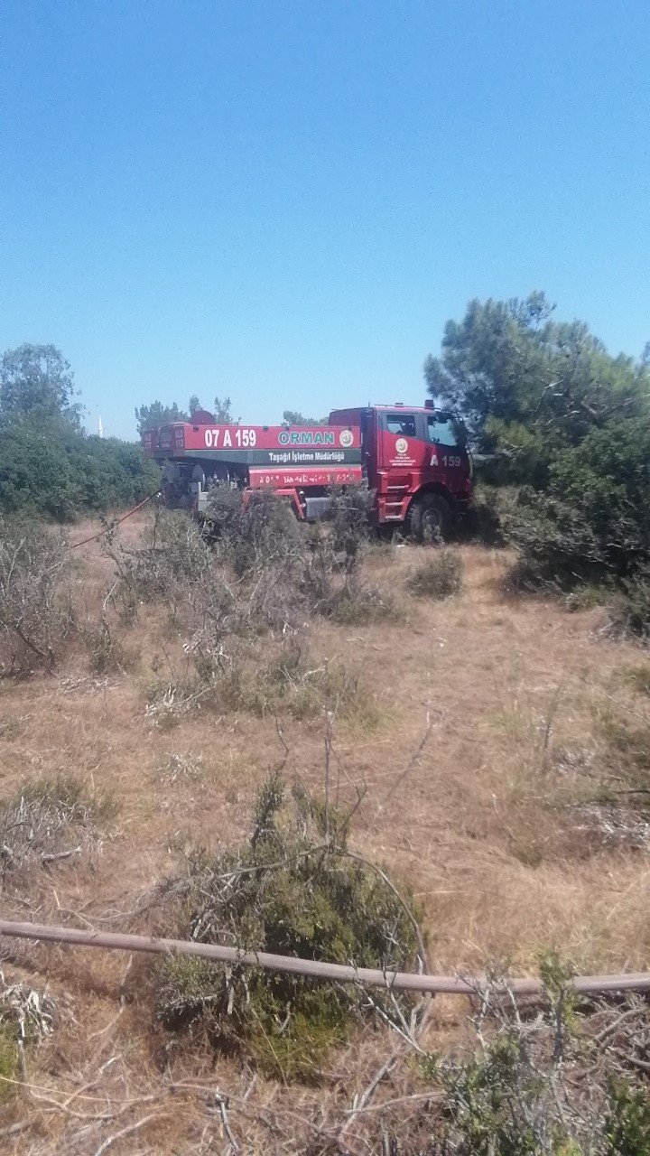 Antalya’da çıkan orman yangını kontrol altına alındı