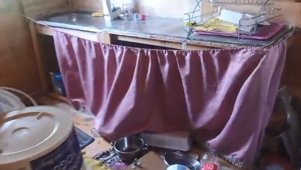 Artvin’de aç kalan ayılar yayla evlerini talan etti