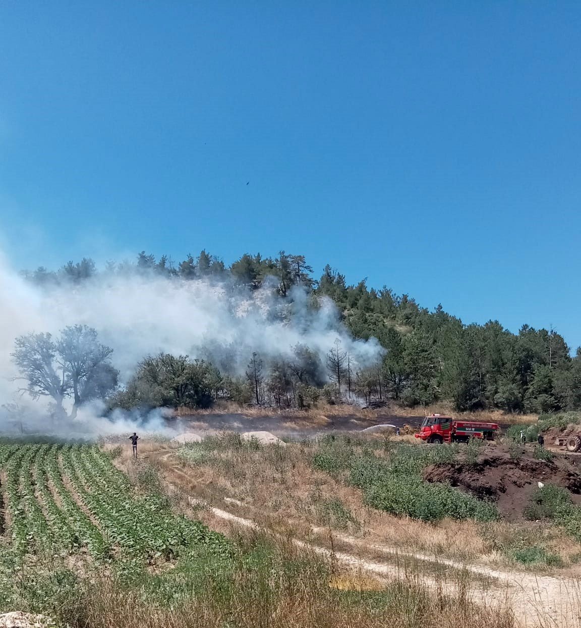 Bolu’da orman yangını kontrol altına alındı