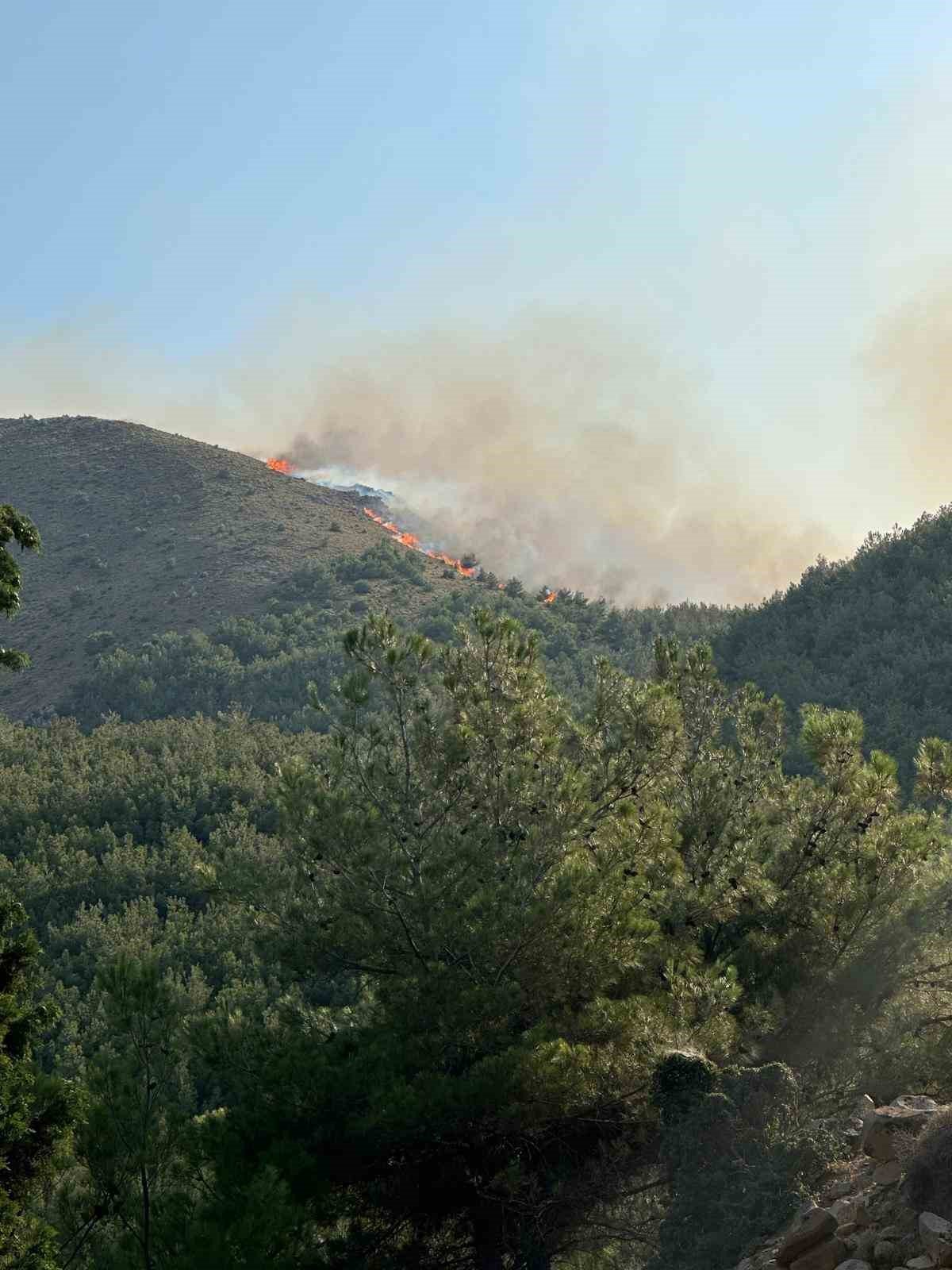 Gökçeada’daki orman yangını kontrol altına alındı