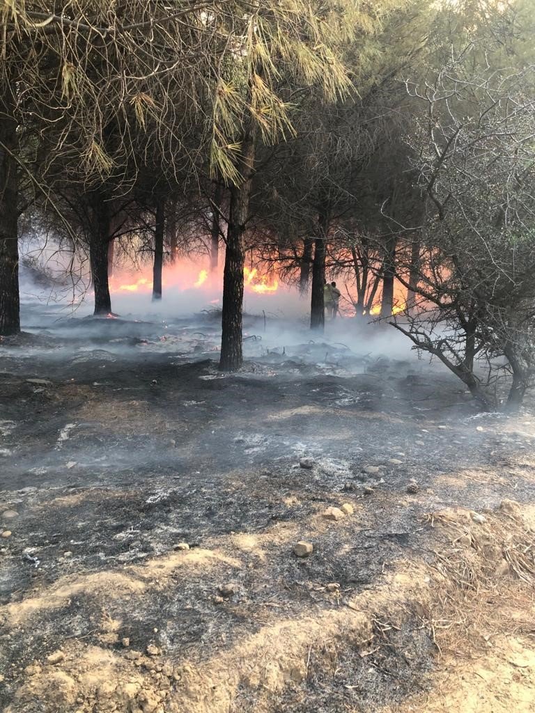 Gökçeada’daki orman yangını kontrol altına alındı