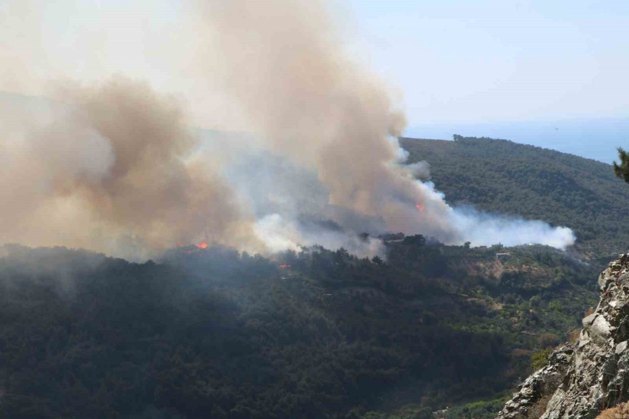 Hatay’daki orman yangınına müdahale sürüyor