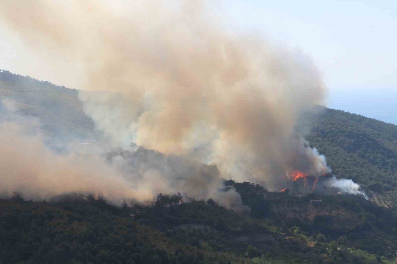 Hatay’daki orman yangınına müdahale sürüyor
