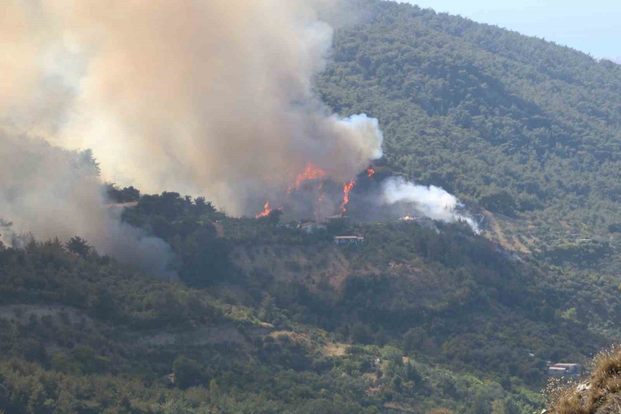 Hatay’daki orman yangınına müdahale sürüyor