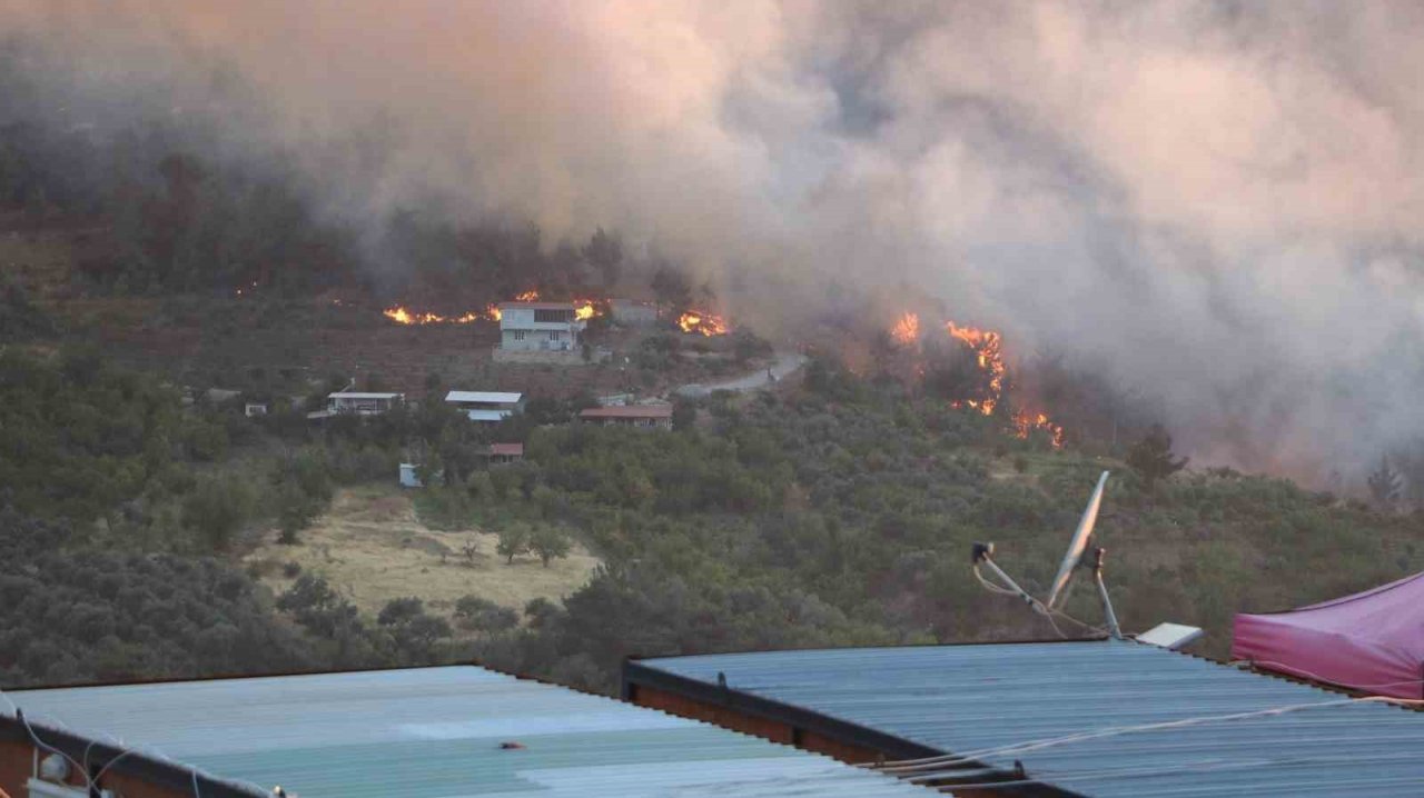 Hatay’da orman yangını büyüyor, 250 hektar zarar gördü